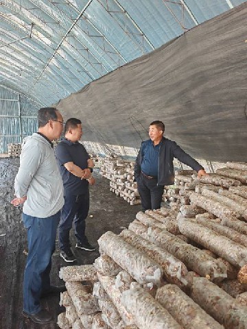 党建引领赋能乡村振兴 康保三村焕发新活力