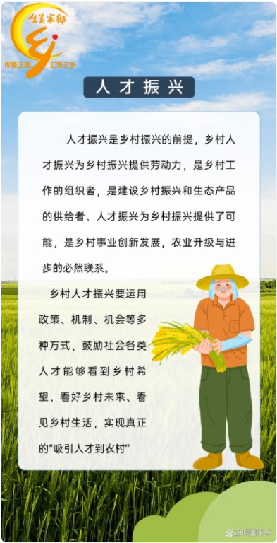 一图了解乡村振兴——五大振兴