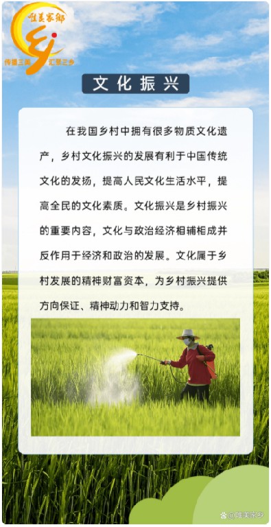 一图了解乡村振兴——五大振兴