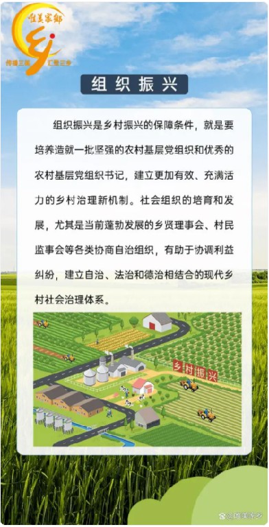 一图了解乡村振兴——五大振兴