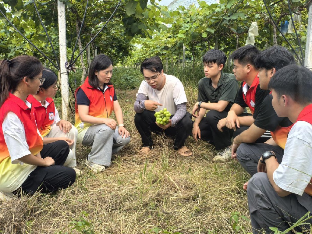 仲恺学院“菠萝兴农” 甜享未来“ 青年突击队发挥所长共谱”绿美江川“农文旅融合崭新蓝图